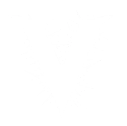 Vedg Studio